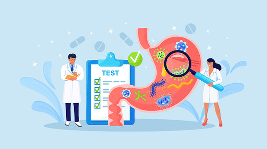 Prebiotici e Probiotici: Due Alleati Diversi per la Tua Salute Intestinale