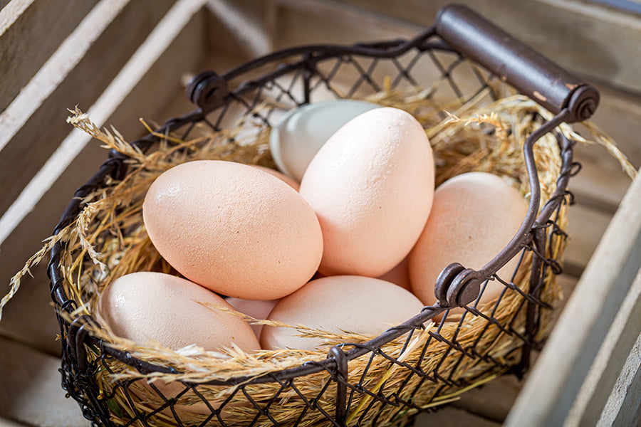 Uova di gallina: tra verità nutrizionali, falsi miti e ruolo nella dieta chetogenica